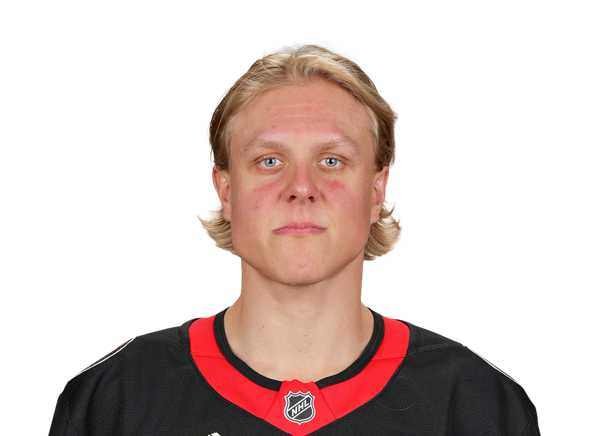Fabian Zetterlund headshot